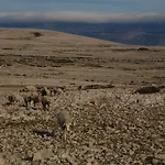 Futura * Baška