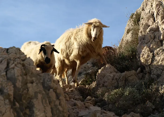 Futura * Baška