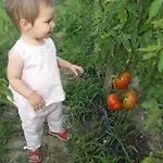 شقة Futura باشْكا
